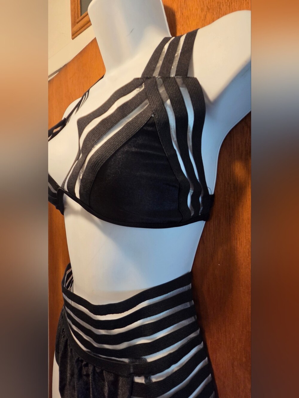 Sheer Addiction NEW Bathing Suit/bra Set SzM/L - Picture 4 of 9